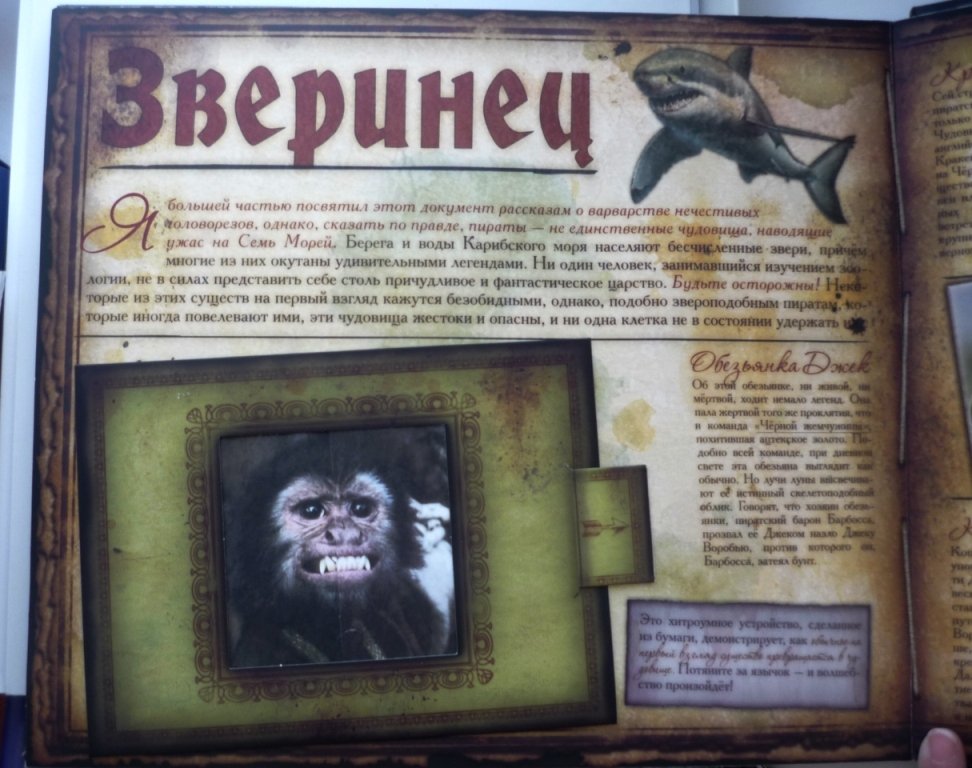 Пираты Карибского моря. Секретные записки Ост-Индской торговой компании.