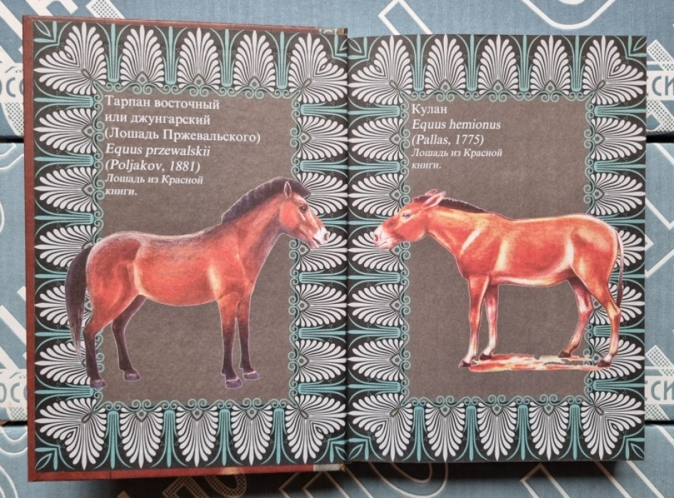 Антология семейного чтения. Сказки и фантастические истории. Тома 2, 3, 5, 6, 7, 9.