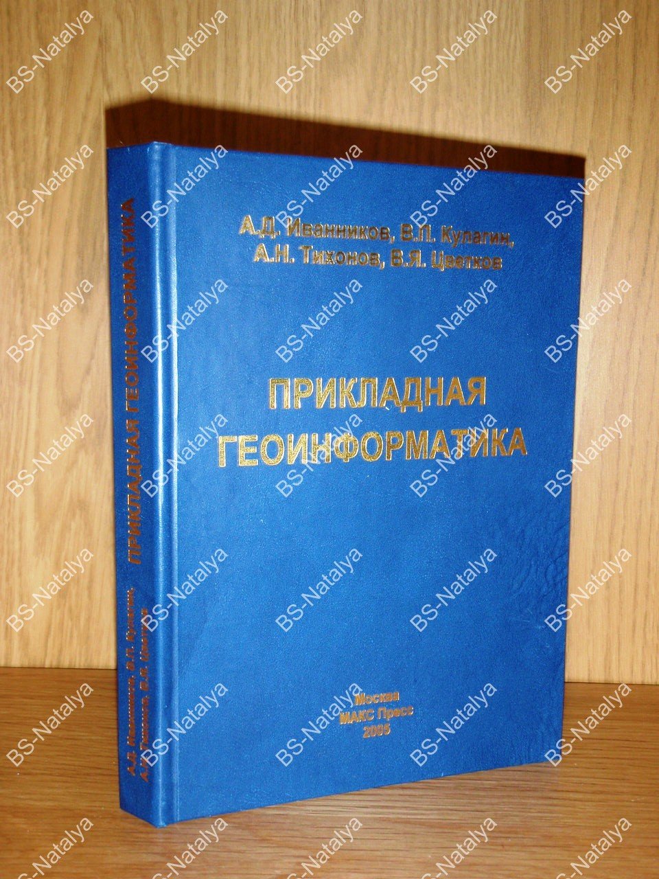 Иванников А.Д., Кулагин В.П., Тихонов А.Н., и др. Прикладная геоинформатика.