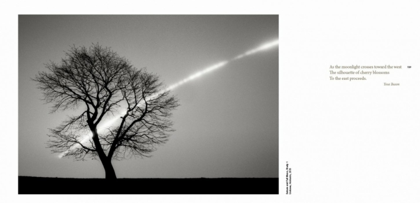 Kenna Michael. Forms of Japan. Michael Kenna. Образы Японии. Майкл Кенна (на английском языке). Тфото.