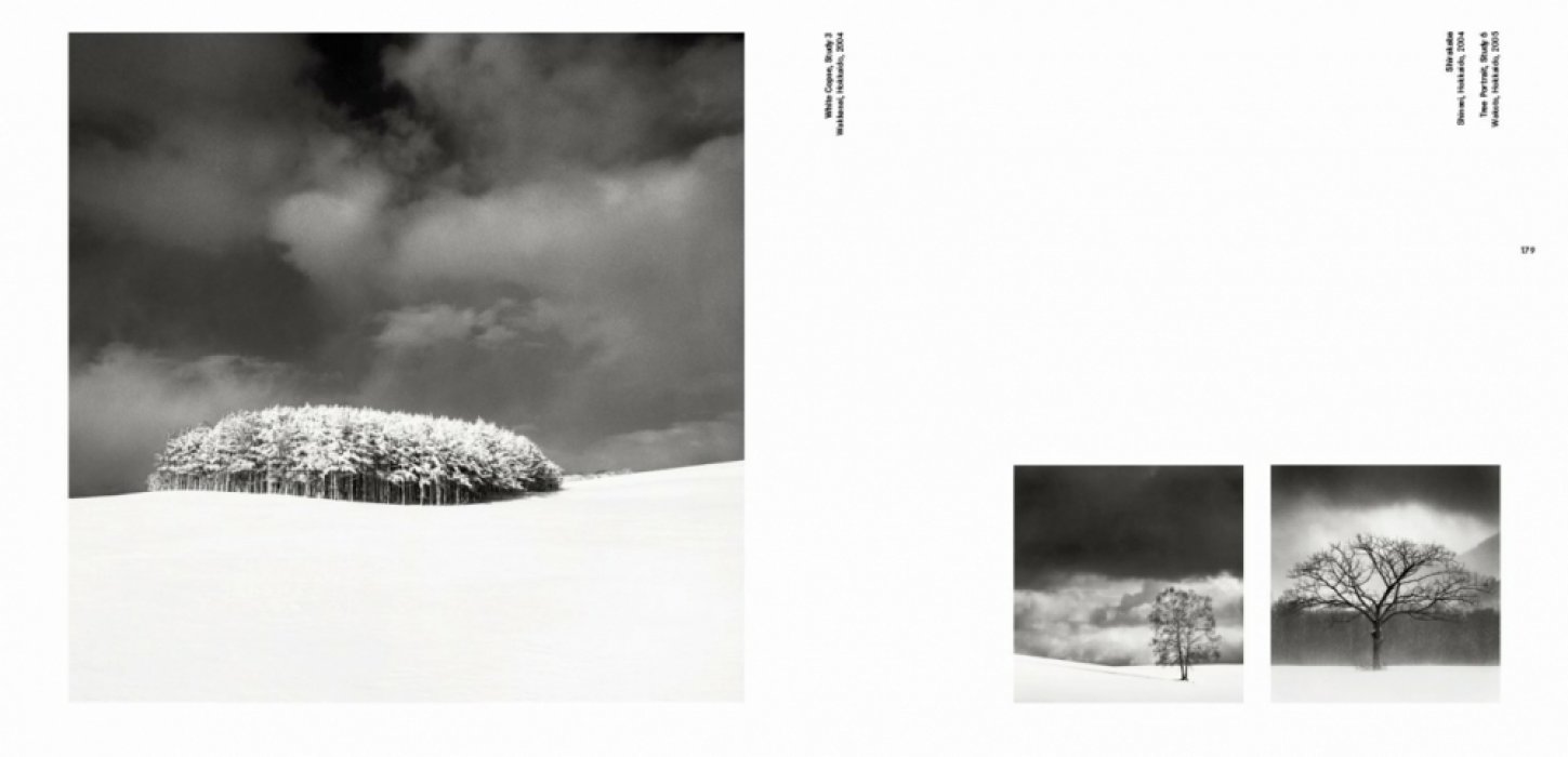 Kenna Michael. Forms of Japan. Michael Kenna. Образы Японии. Майкл Кенна (на английском языке). Тфото.