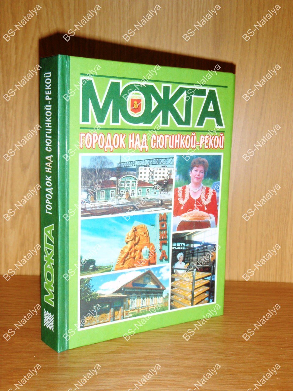 Вичужанин А. Г. Можга. Городок над Сюгинкой-рекой.