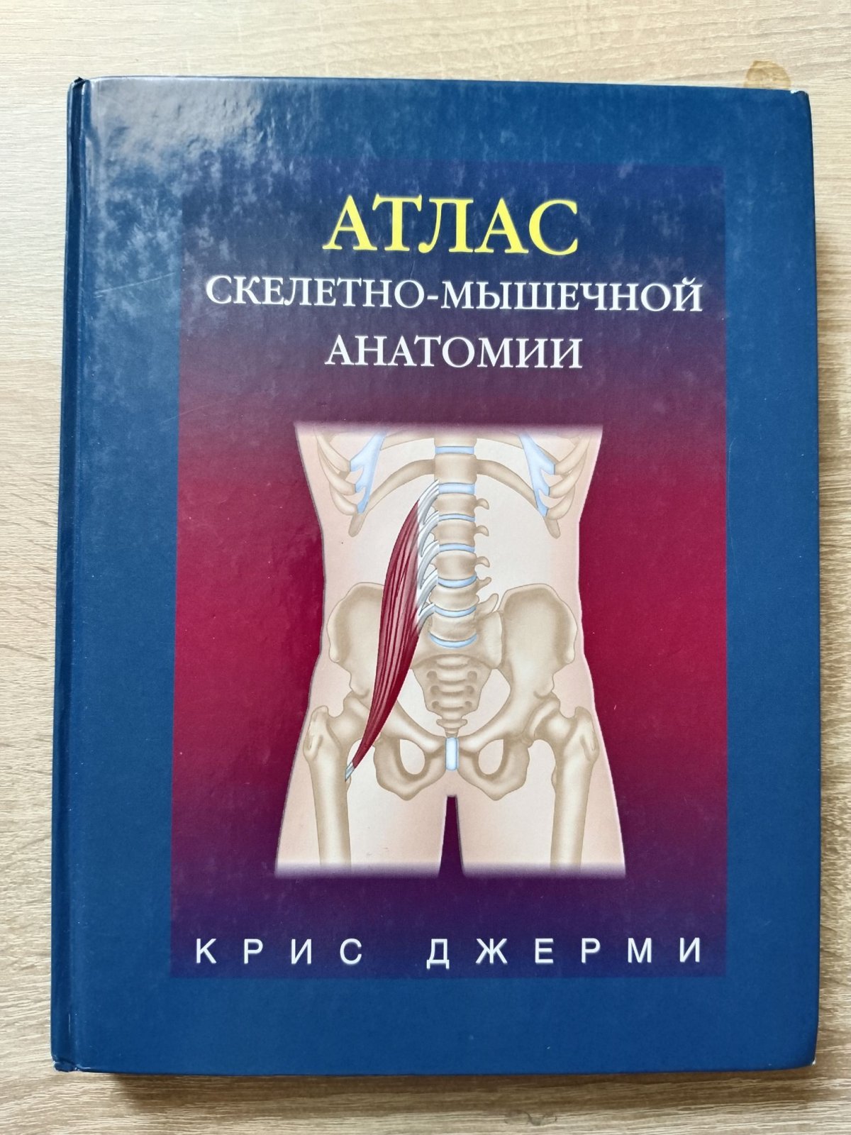 Джерми Крис. Атлас скелетно-мышечной анатомии.