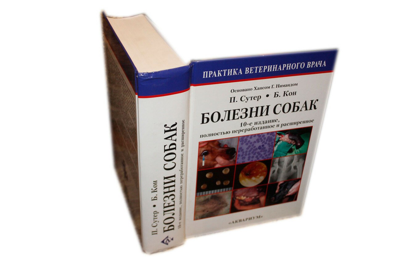 Болезни собак.