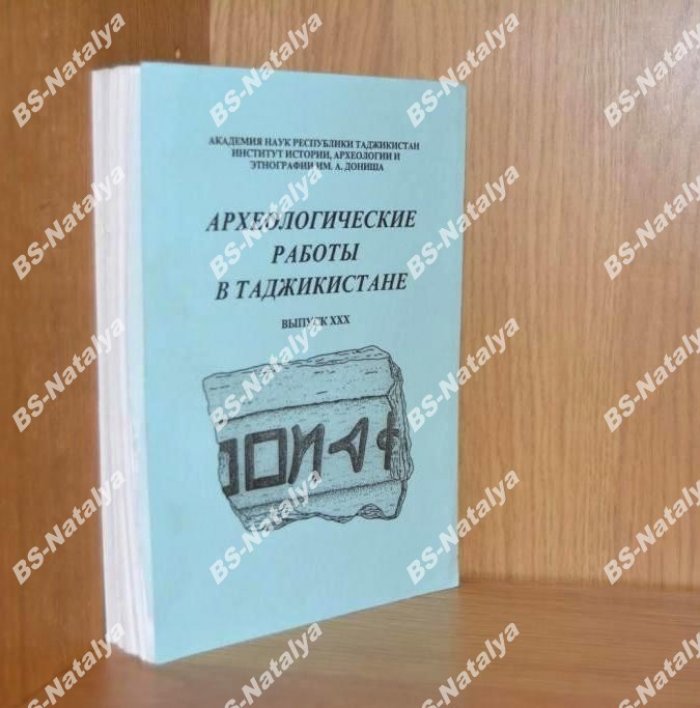 Археологические работы в Таджикистане.