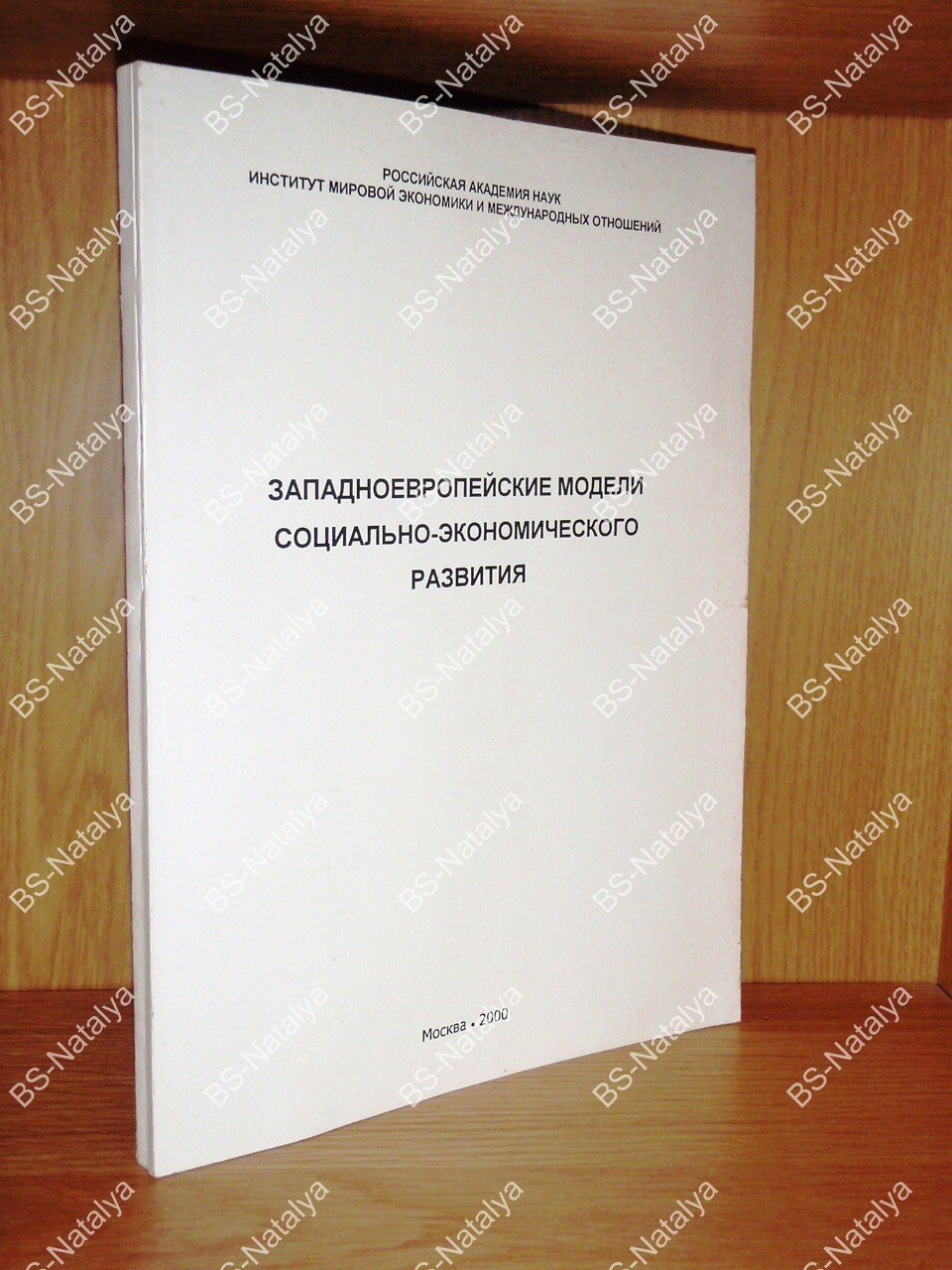 Западноевропейские модели социально-экономического развития.