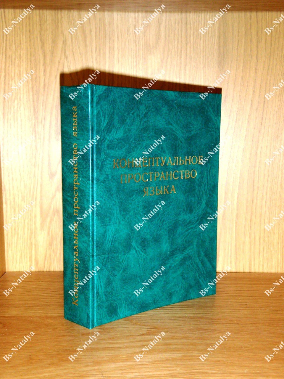 Концептуальное пространство языка.
