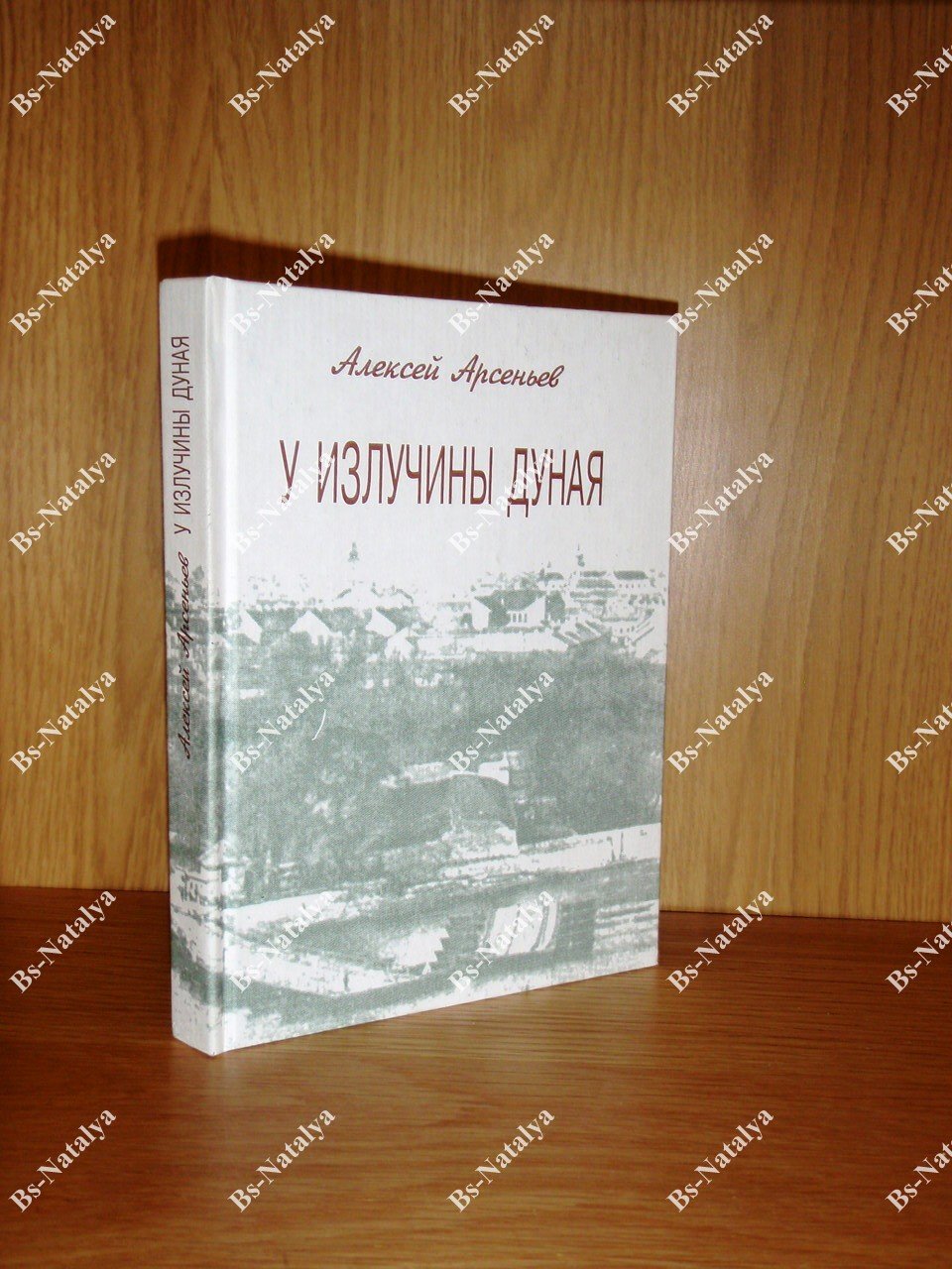 Арсеньев А.Б. У излучины Дуная.