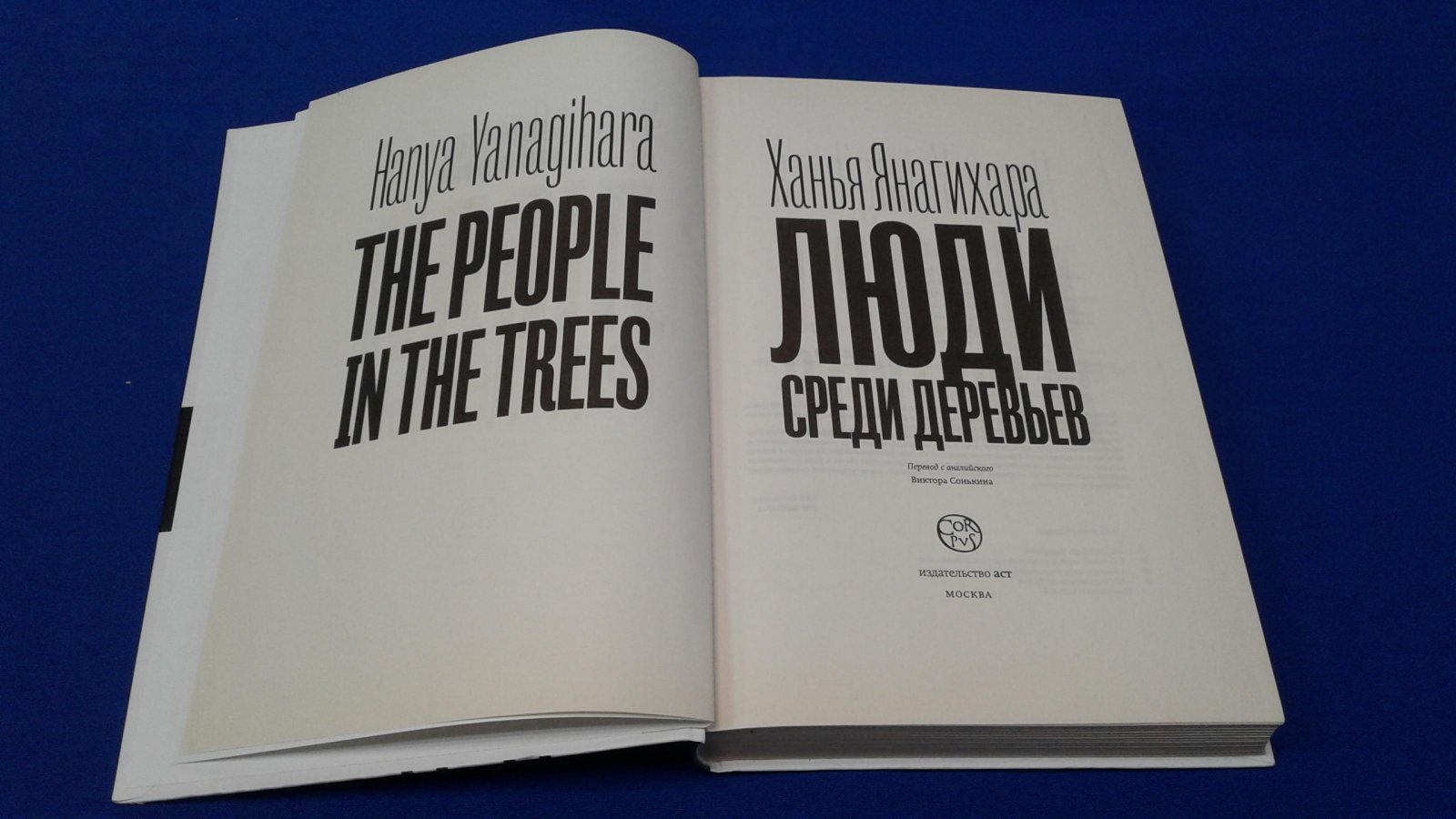 Янагихара Х. Люди среди деревьев.
