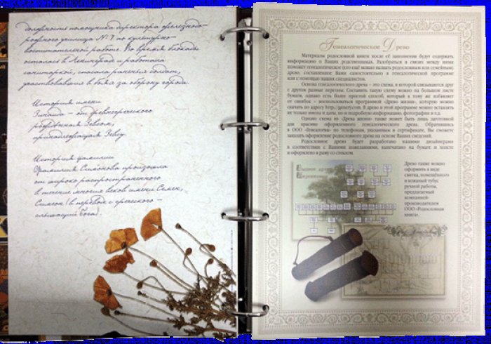 Родословная книга (Эрмитаж, натуральная кожа)