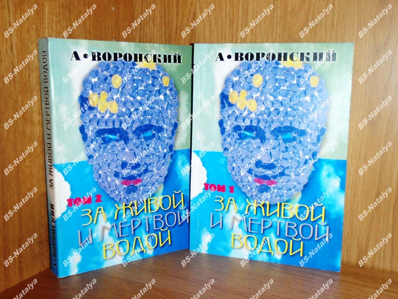 Воронский А.К. За живой и мертвой водой.