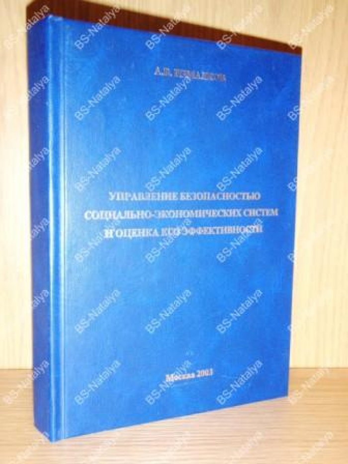Измалков А.В. Управление безопасностью социально-экономических систем и оценка его эффективности.