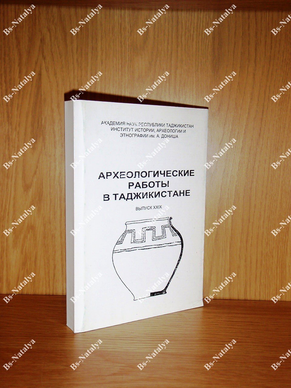 Археологические работы в Таджикистане.