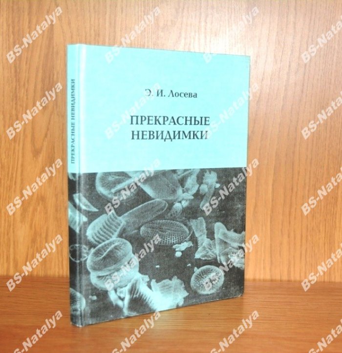 Лосева Э. И. Прекрасные невидимки.