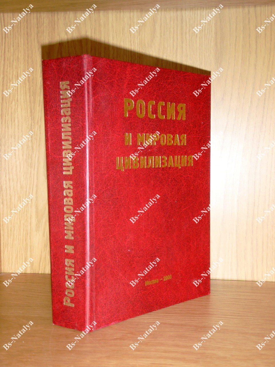 Россия и мировая цивилизация.