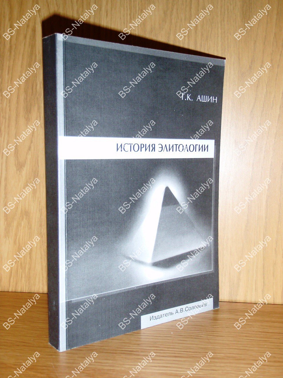 Ашин Г.К. История элитологии.