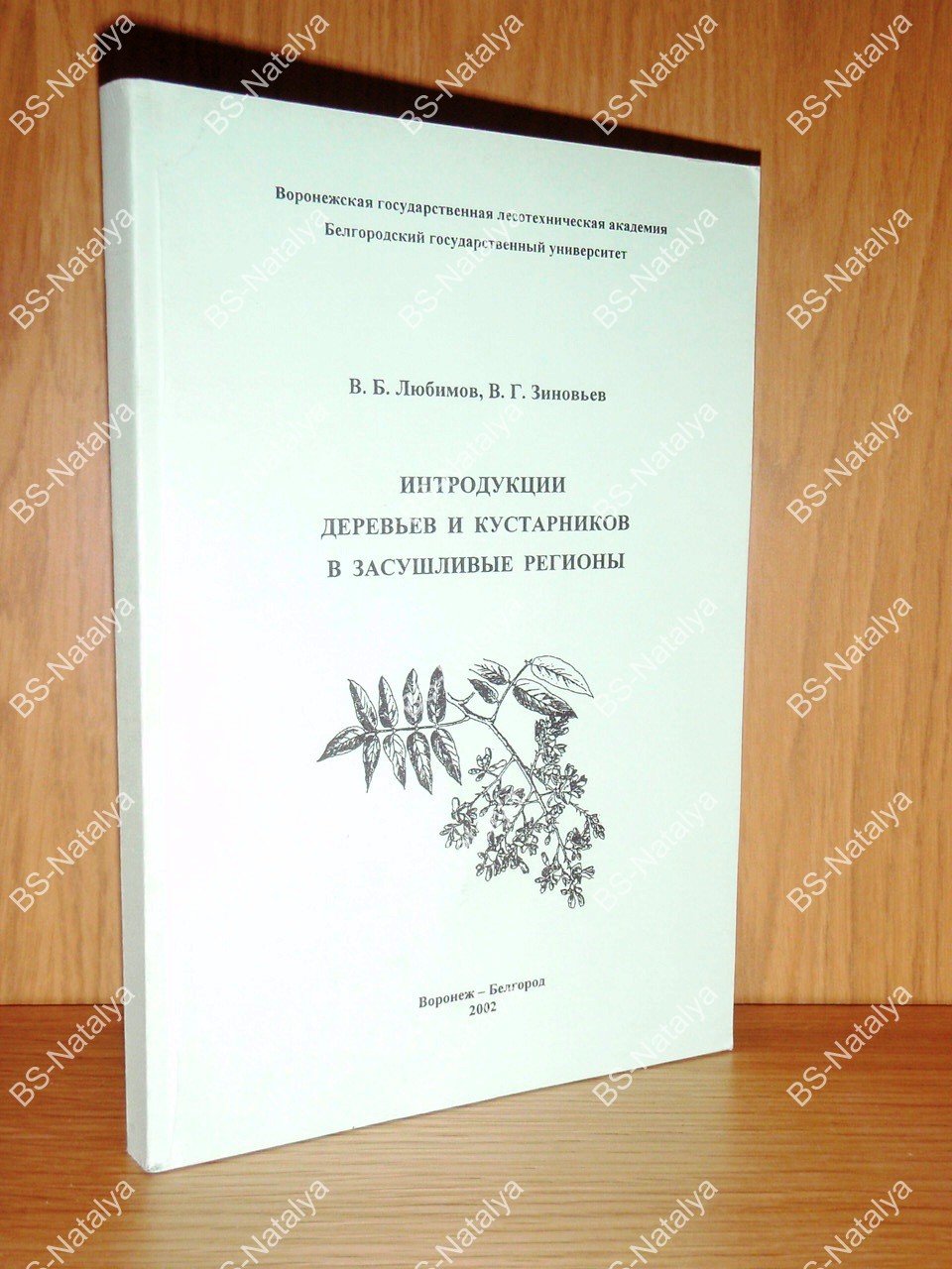 Интродукция деревьев и кустарников в засушливые регионы.