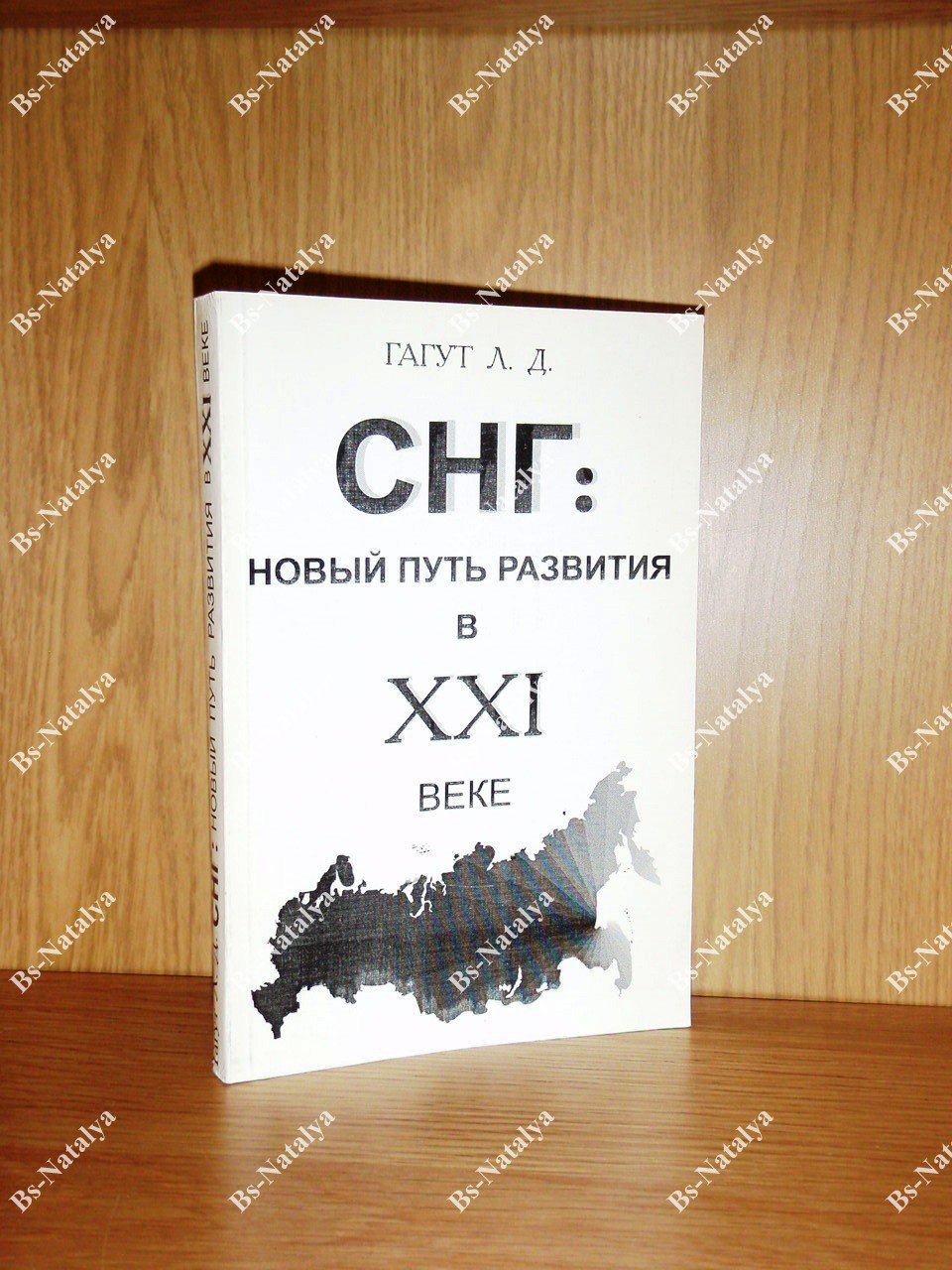 Гагут Л.Д. СНГ: новый путь развития в XXI веке.