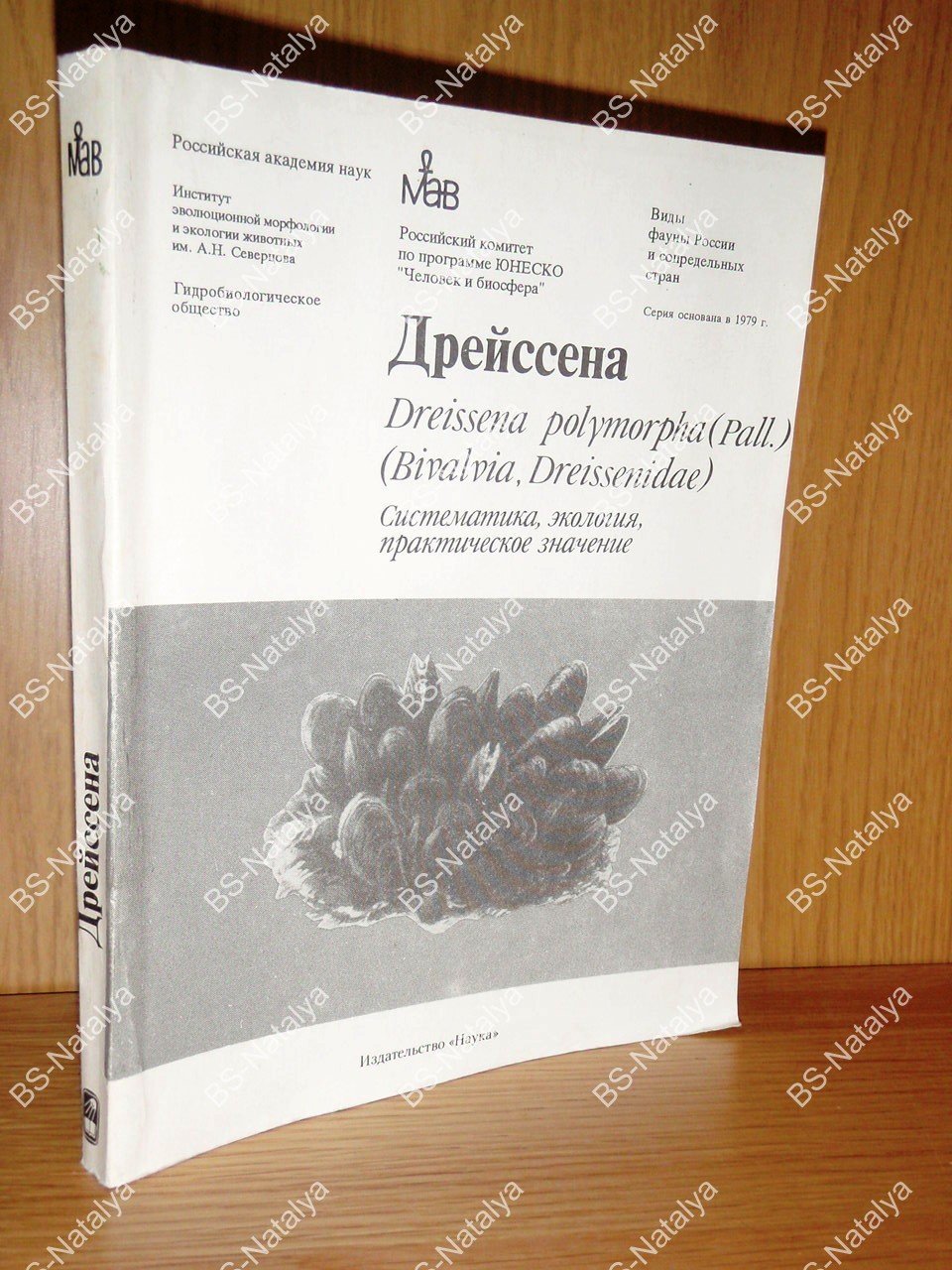 Дрейссена. Dreissena polymorpha (Pall.) (Bivalvia, Dreissenidae). Систематика, экология, практическое значение.