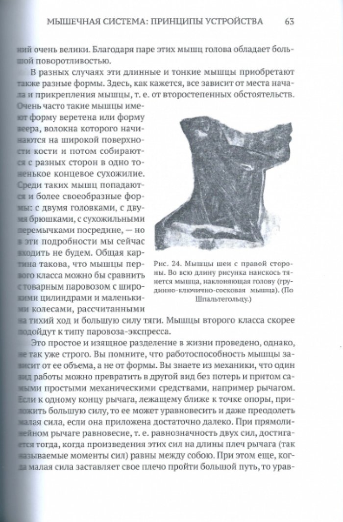 Бернштейн Н.А. Биомеханика для инструкторов.