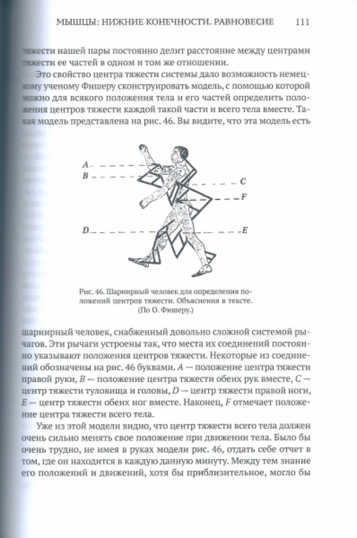Бернштейн Н.А. Биомеханика для инструкторов.