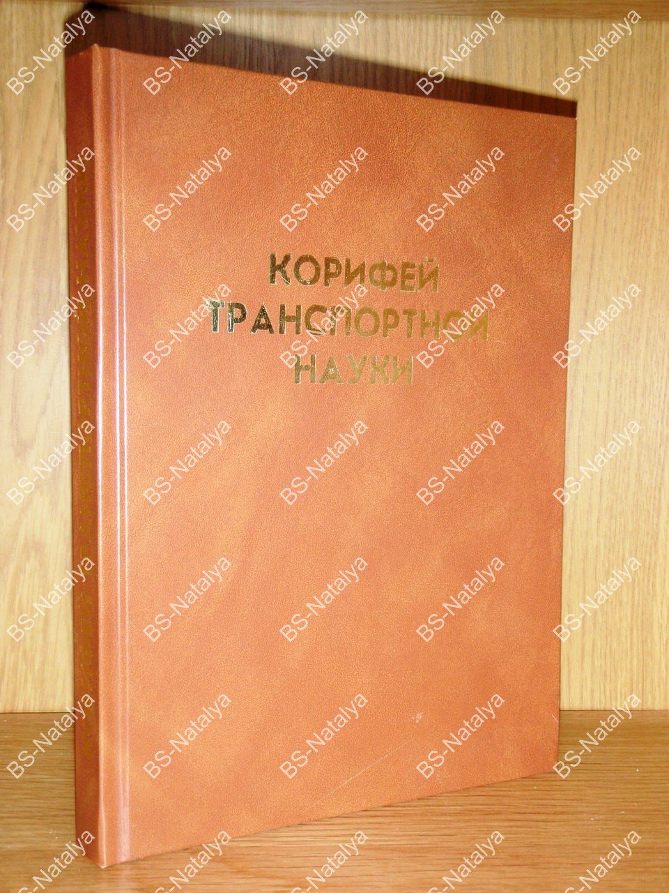 Пашинин С.А., и др. Корифей транспортной науки.