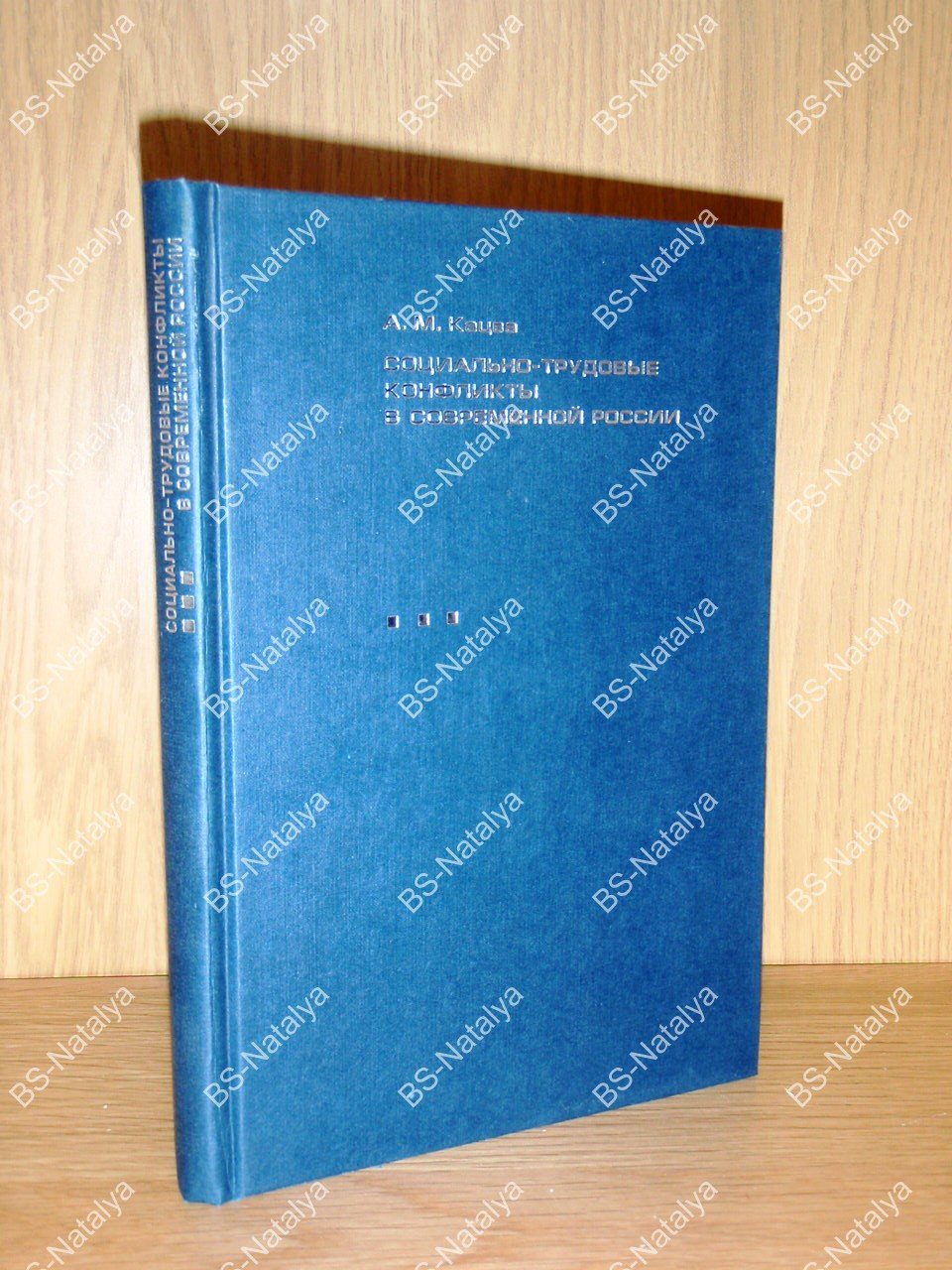 Кацва А.М. Социально-трудовые конфликты в Современной России: истоки, проблемы и особенности.