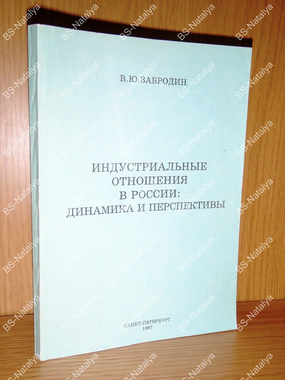 Забродин В.Ю. Индустриальные отношения в России: динамика и перспективы.