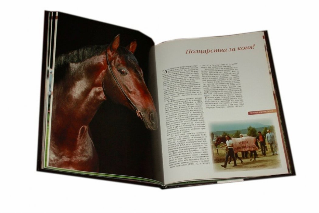 Ливанова Татьяна. Мир лошадей.