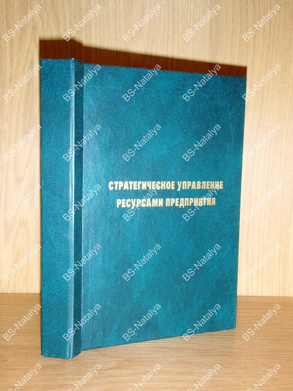 Стратегическое управление ресурсами предприятия.