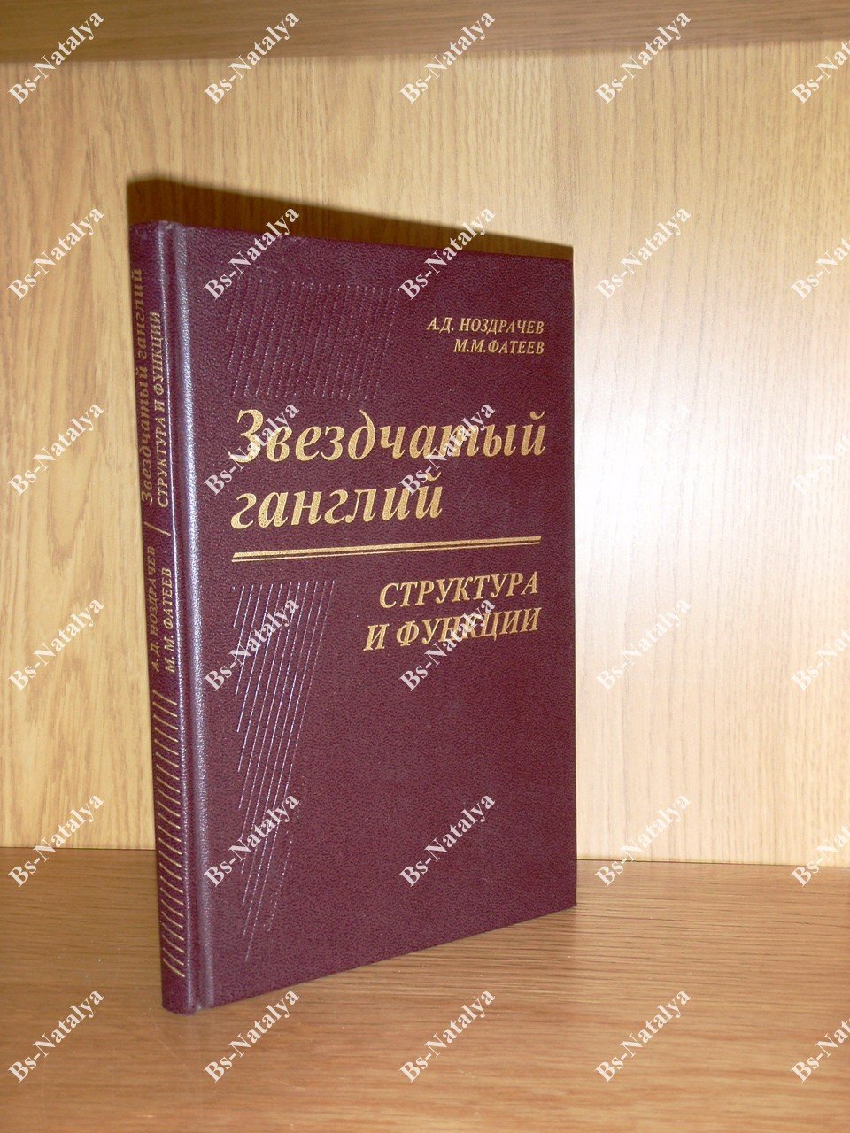 Ноздрачев А.Д., Фатеев М.М. Звездчатый ганглий. Структура и функции.