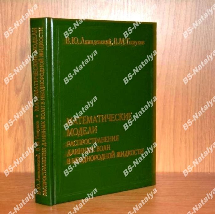Ляпидевский В. Ю., Тешуков В. М. Математические модели распространения длинных волн в неоднородной жидкости.