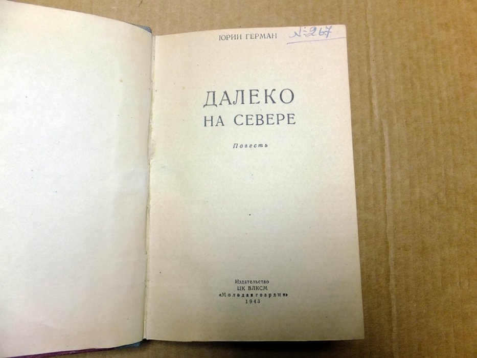Герман Ю. Далеко на Севере.