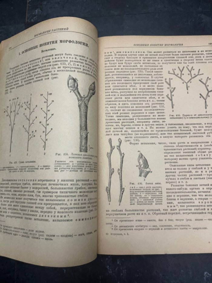 Курсанов Л.И., Крашенинников Ф.Н., Комарницкий Н.А. и др. Курс ботаники. В двух томах. Том I. Анатомия растений. Морфология растений. Физиология растений.