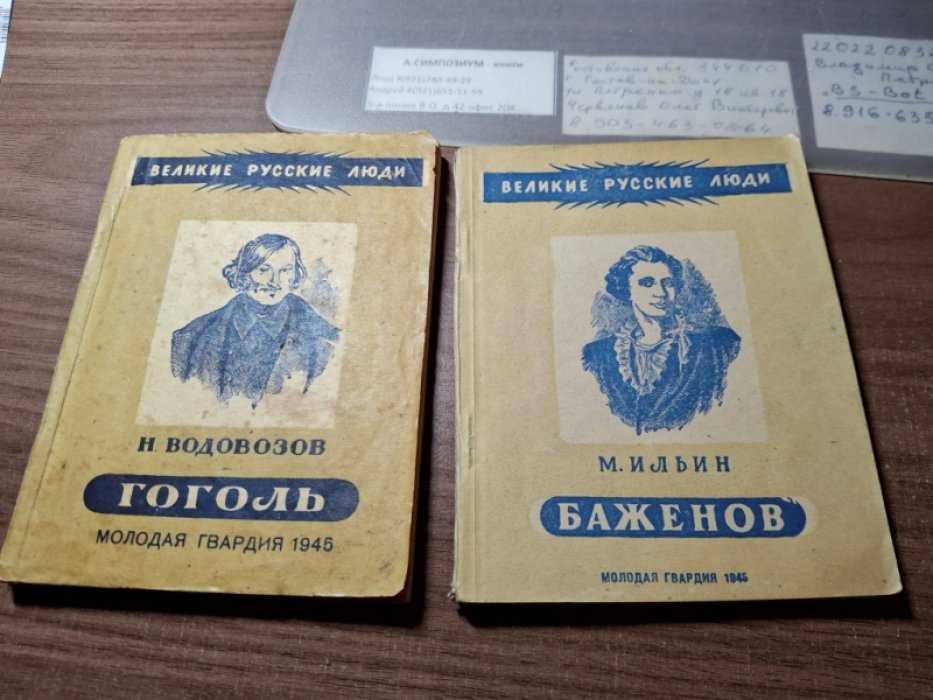 Ильин М. Василий Иванович Баженов. 