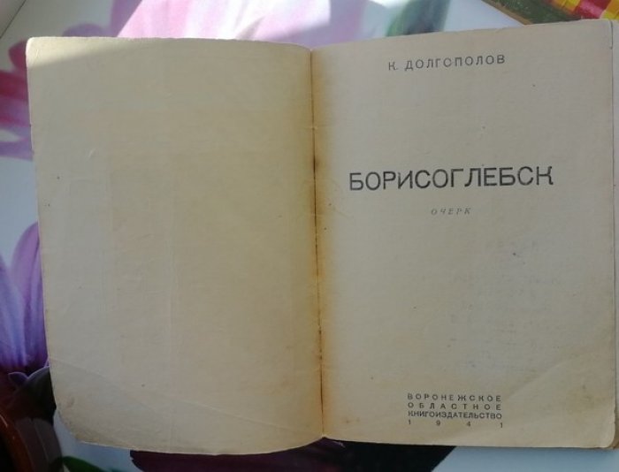 Долгополов К. Борисоглебск.