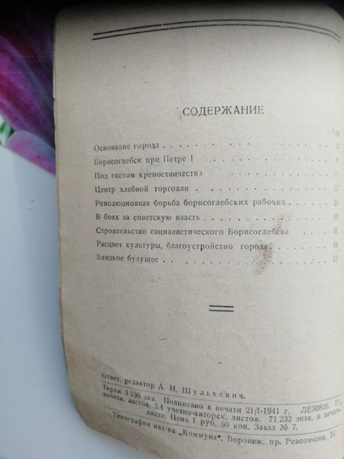 Долгополов К. Борисоглебск.