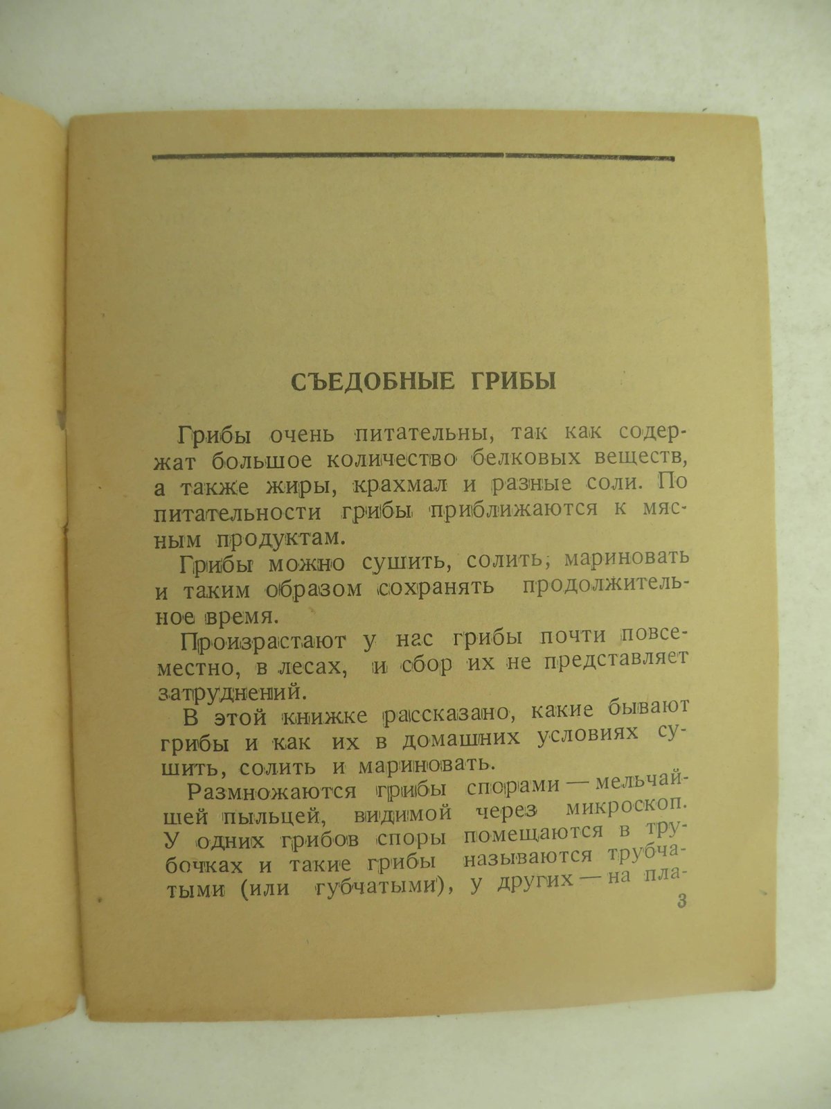 Колесов Н.В. Заготовляйте впрок на зиму грибы.