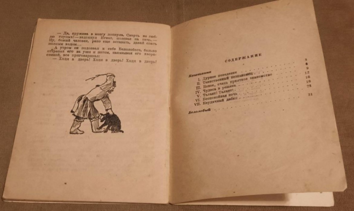Чехов  А. Каштанка. Белолобый