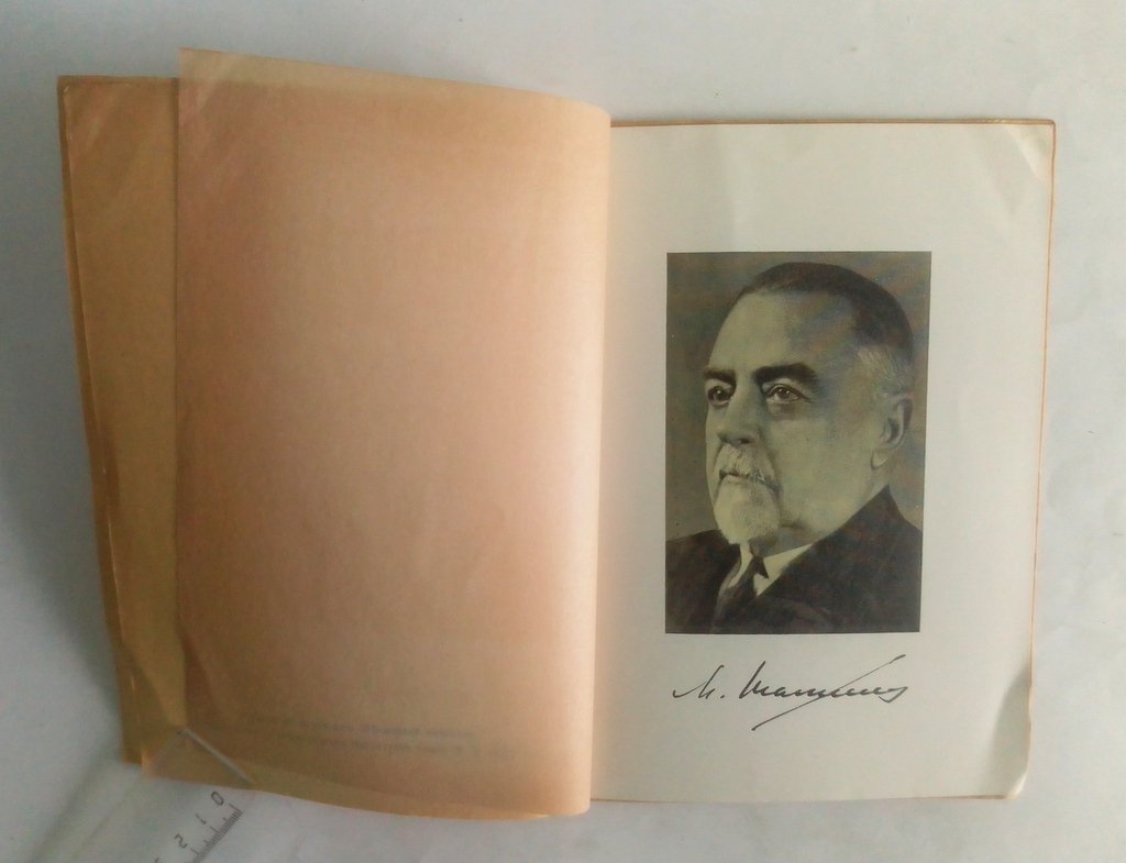 Михаил Андреевич Шателен.