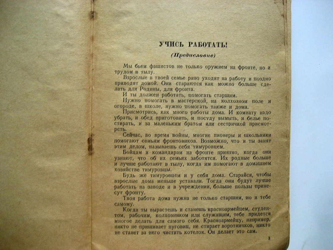 Своими руками. Домашние работы пионера и школьника