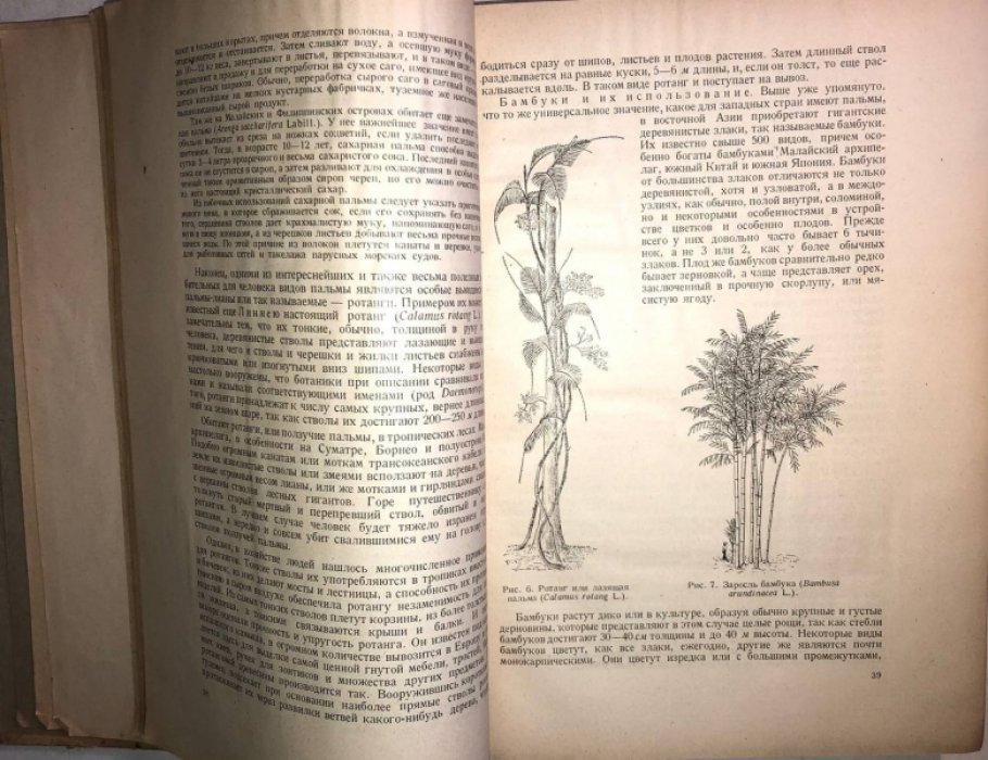 Павлов Н.В. (Проф.) Дикие полезные и технические растения СССР.