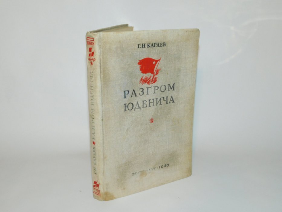 Караев Георгий Николаевич. Разгром Юденича в 1919 году.