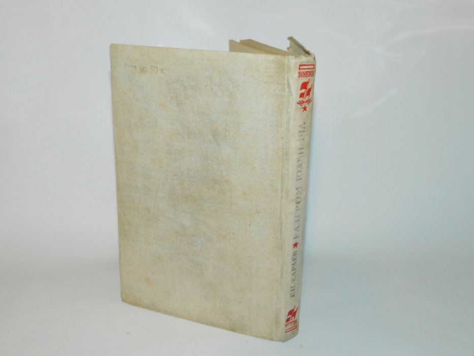 Караев Георгий Николаевич. Разгром Юденича в 1919 году.
