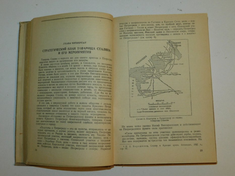 Караев Георгий Николаевич. Разгром Юденича в 1919 году.