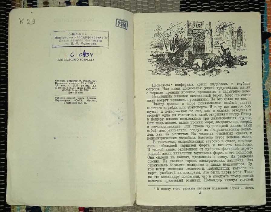 Катаев В. Флаг.