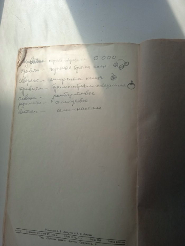 Материалы к всесоюзному археологическому совещанию.
