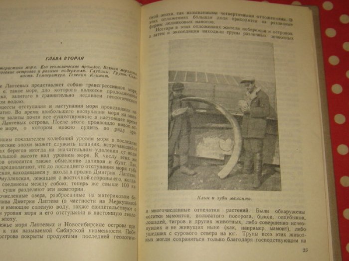 Тарбеев Д. Море Лаптевых и его побережье.
