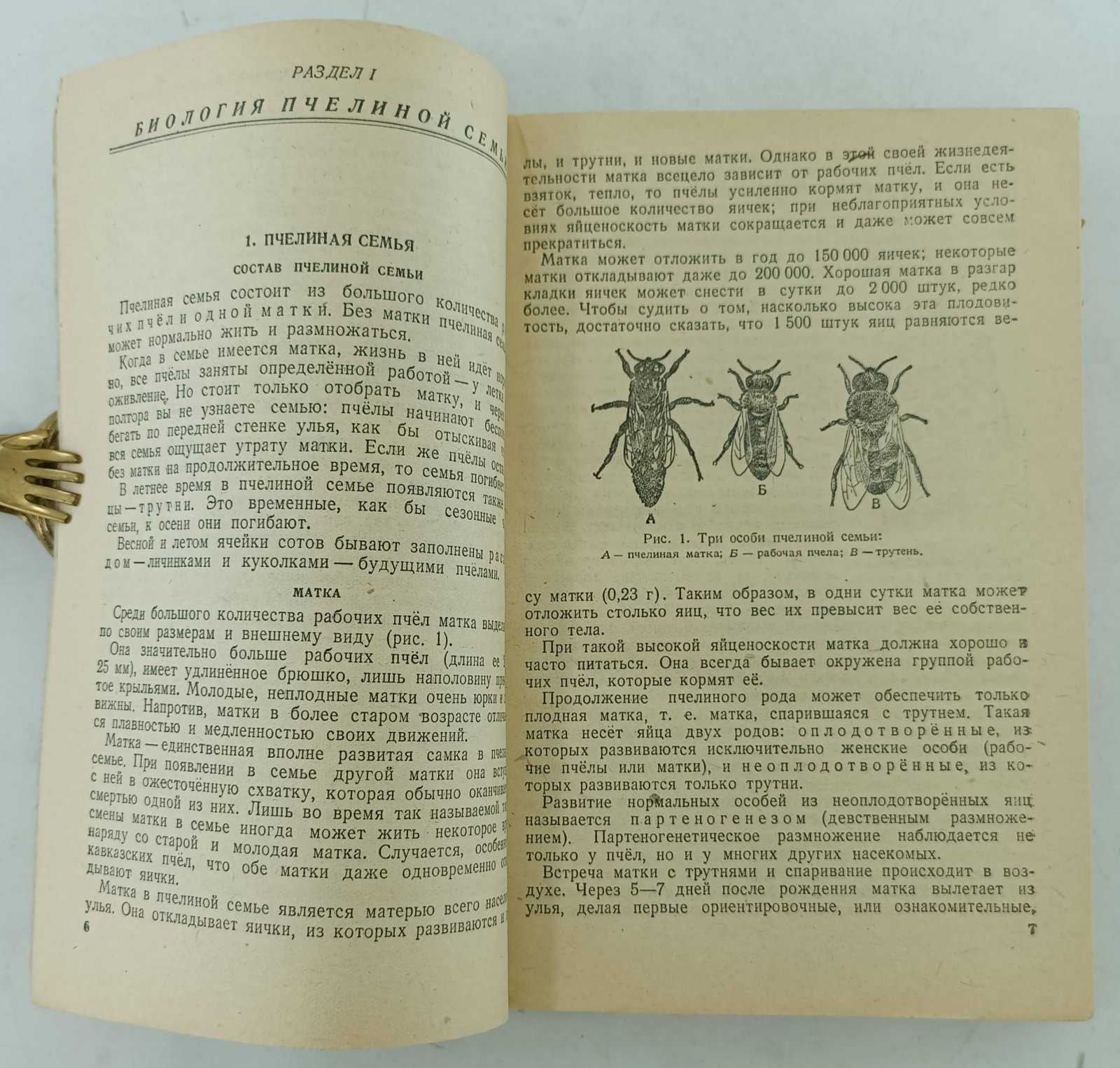 Щербина П.С., Близнюк П.Я. Пчеловодство.