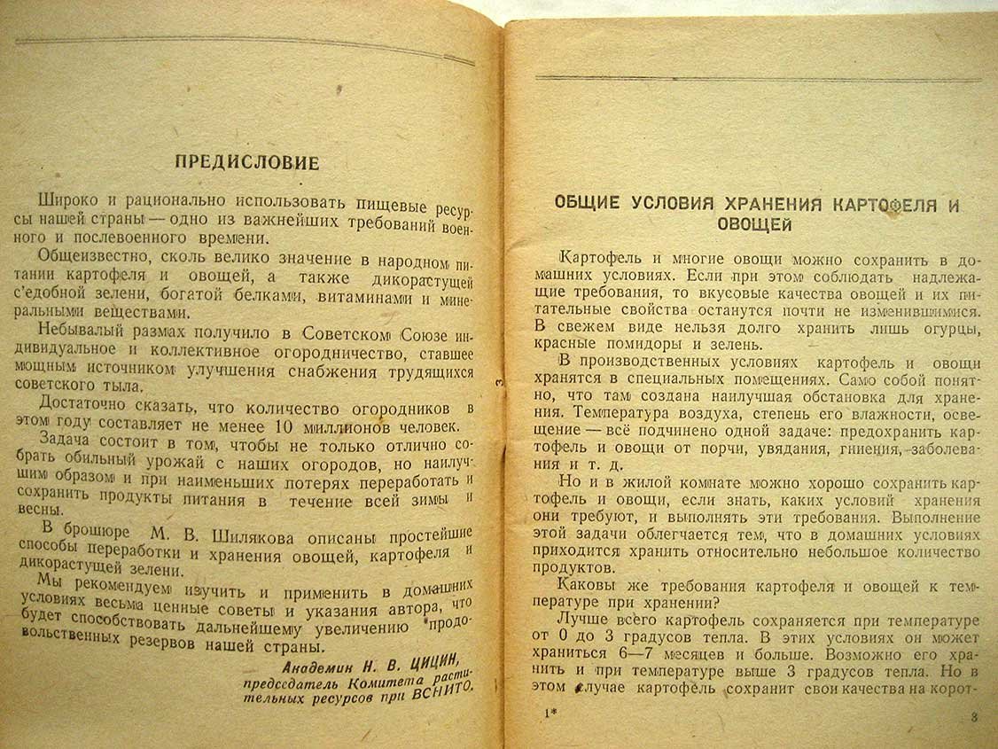 Шиляков М. Простейшая переработка и хранение овощей и картофеля в домашних условиях.